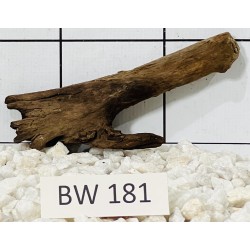 Bogwood 181