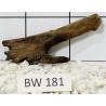 Bogwood 181