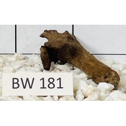Bogwood 181