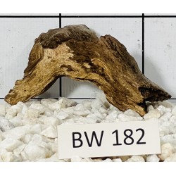 Bogwood 182