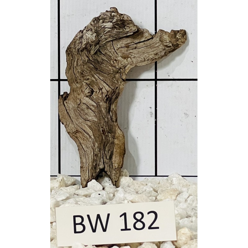 Bogwood 182