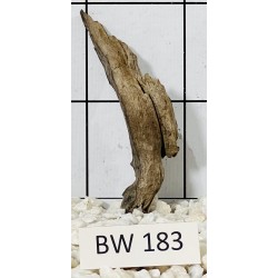 Bogwood 183
