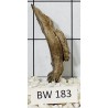 Bogwood 183