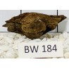 Bogwood 184