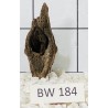 Bogwood 184