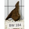 Bogwood 184