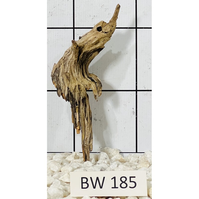 Bogwood 185