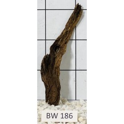 Bogwood 186