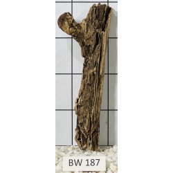Bogwood 187