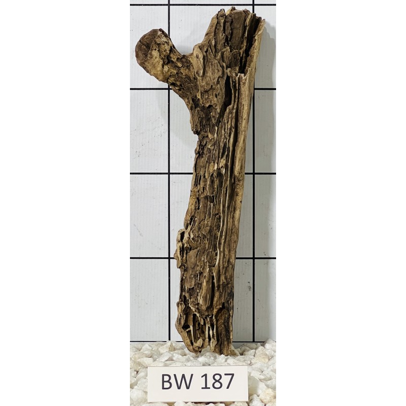 Bogwood 187