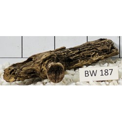 Bogwood 187