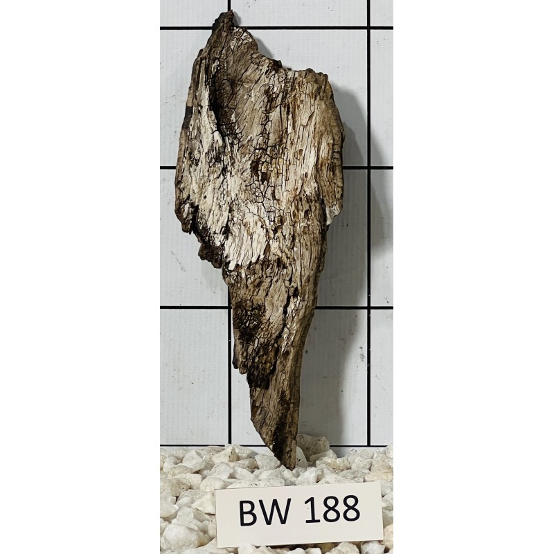 Bogwood 188