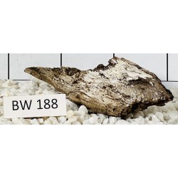 Bogwood 188