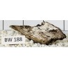 Bogwood 188