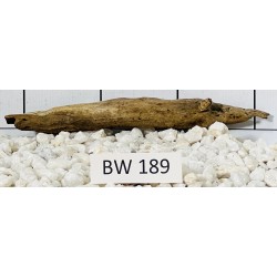 Bogwood 189
