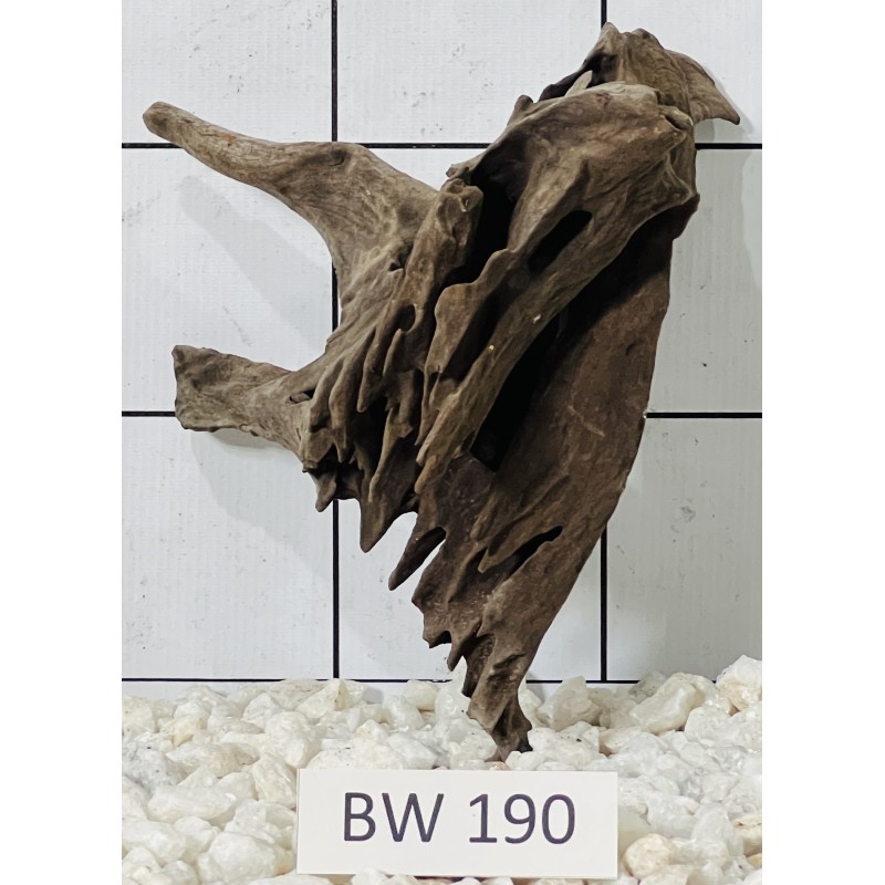 Bogwood 190