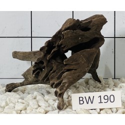 Bogwood 190