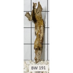 Bogwood 191