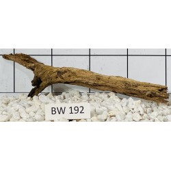Bogwood 192