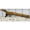 Bogwood 192