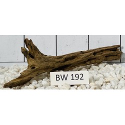 Bogwood 192