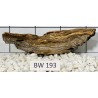 Bogwood 193