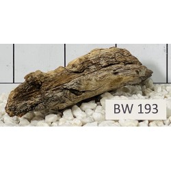 Bogwood 193