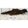 Bogwood 194