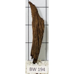 Bogwood 194