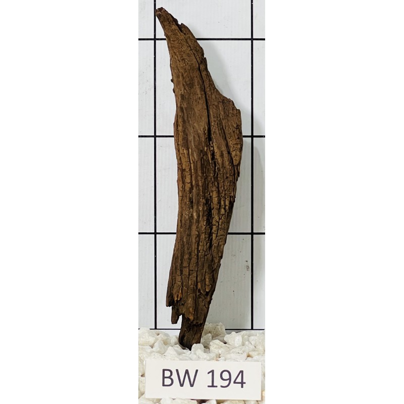 Bogwood 194