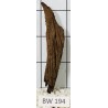 Bogwood 194