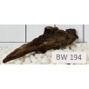 Bogwood 194