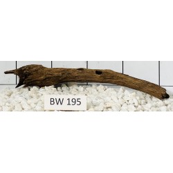 Bogwood 195
