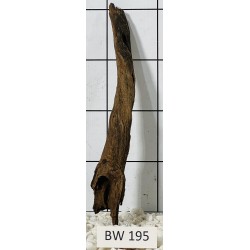 Bogwood 195