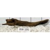 Bogwood 195