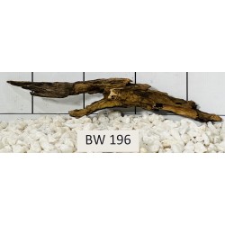Bogwood 196