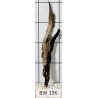 Bogwood 196