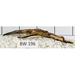 Bogwood 196