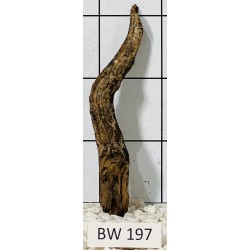 Bogwood 197