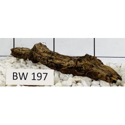 Bogwood 197