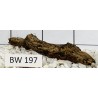 Bogwood 197