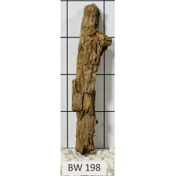Bogwood 198
