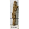 Bogwood 198
