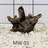 Mangrovewood 03