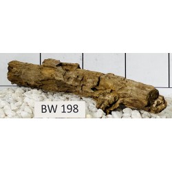 Bogwood 198