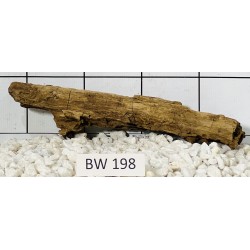 Bogwood 198