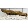 Bogwood 198