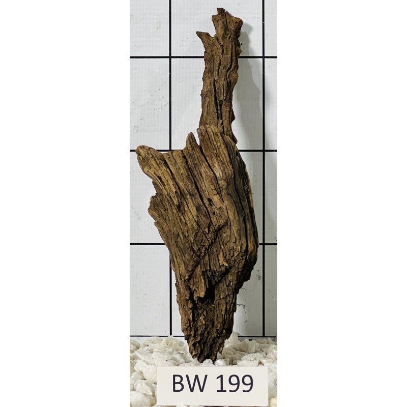 Bogwood 199