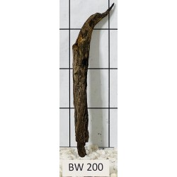 Bogwood 200
