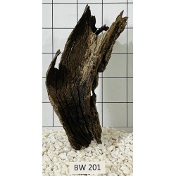 Bogwood 201